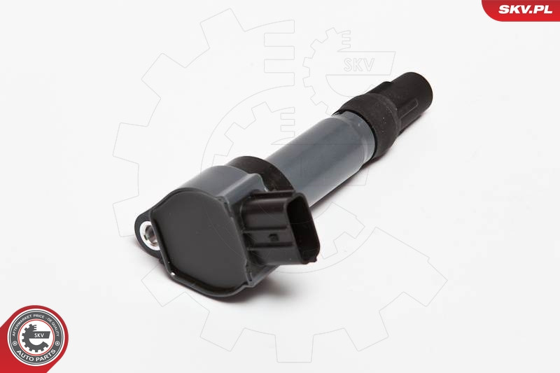 ESEN SKV Zündspule