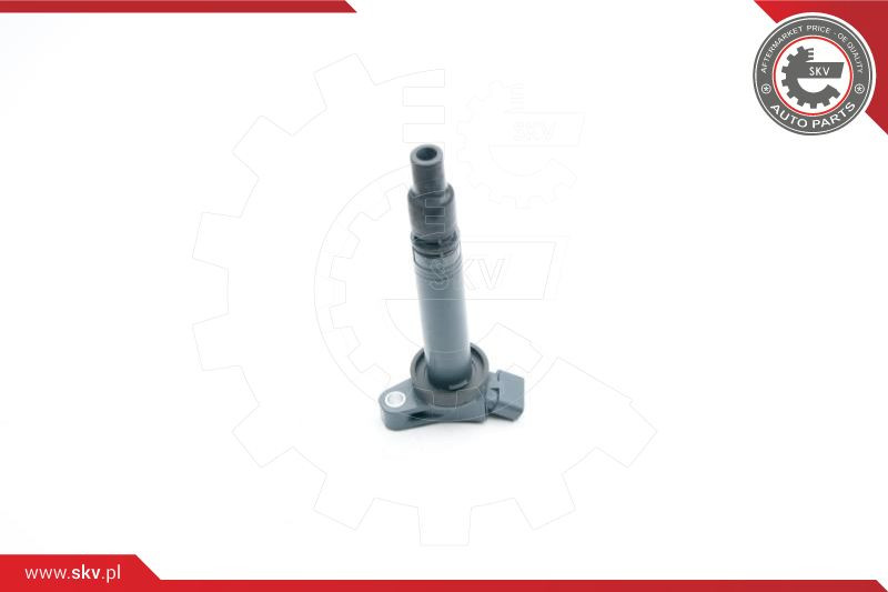 ESEN SKV Zündspule