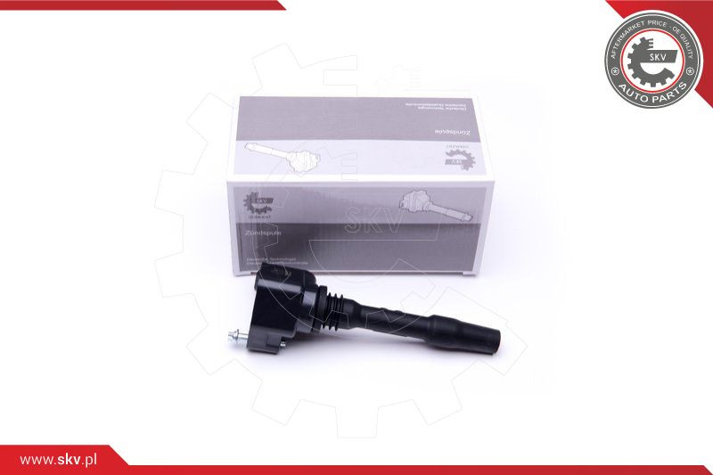 ESEN SKV Zündspule