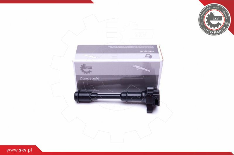 ESEN SKV Zündspule