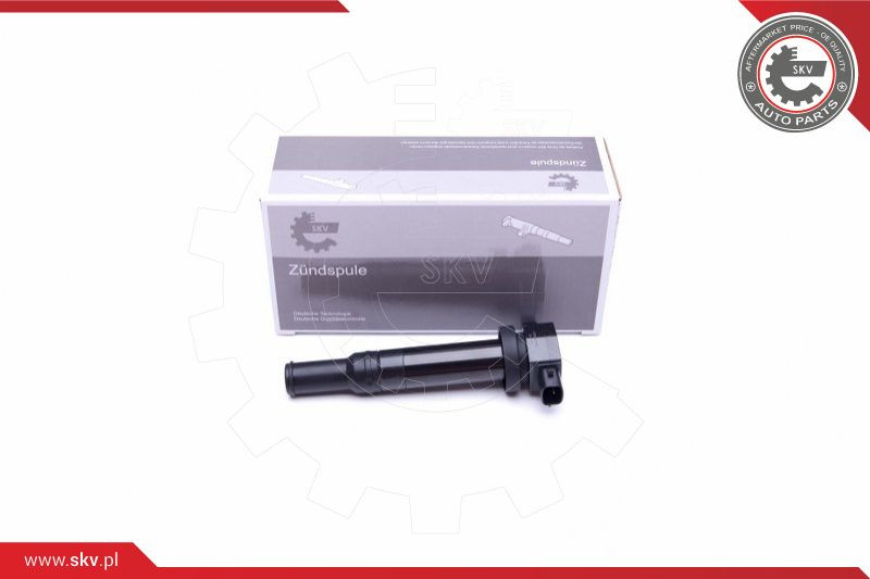 ESEN SKV Zündspule