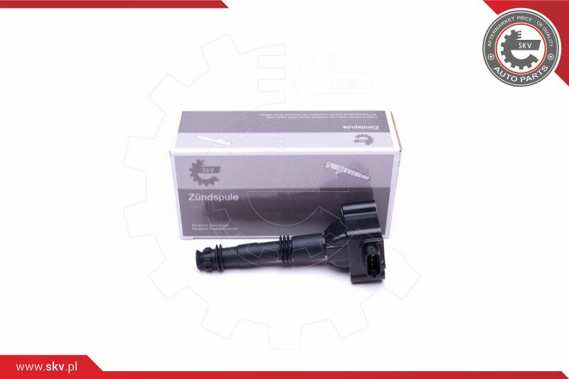 ESEN SKV Zündspule