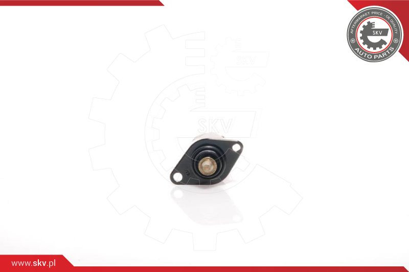 ESEN SKV Leerlaufregelventil, Luftversorgung