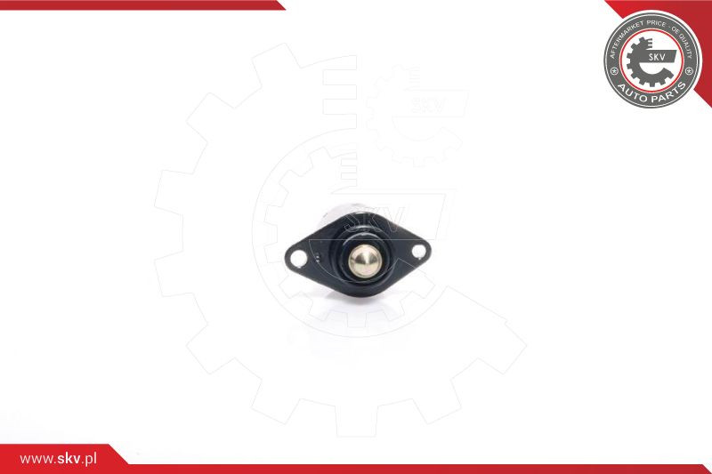 ESEN SKV Leerlaufregelventil, Luftversorgung