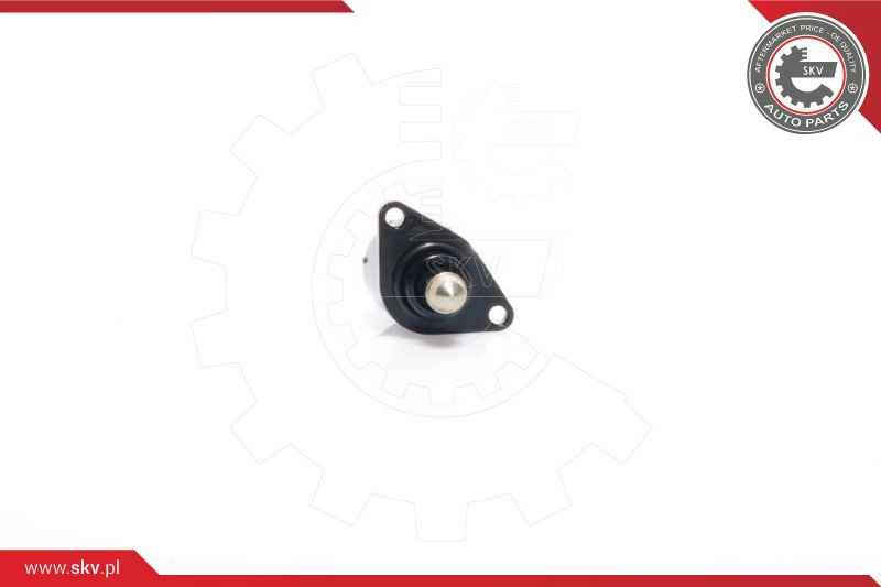 ESEN SKV Leerlaufregelventil, Luftversorgung