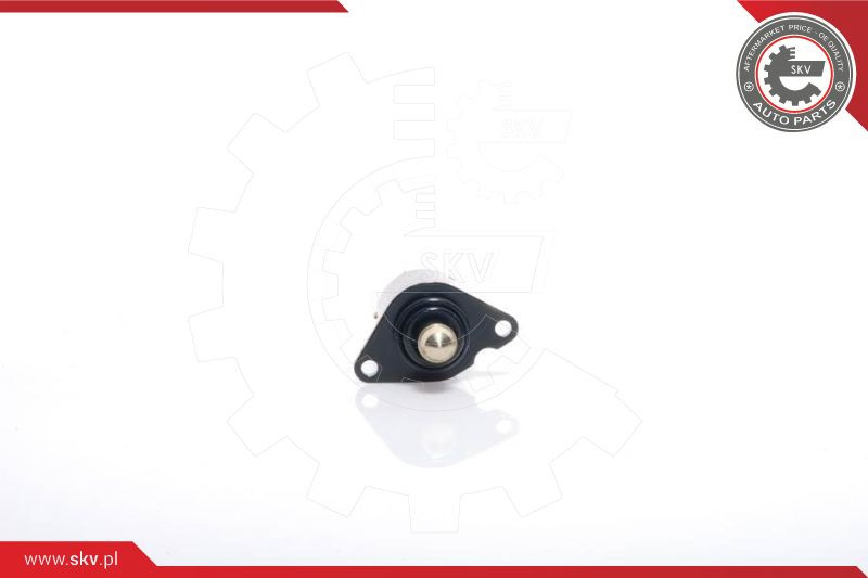 ESEN SKV Leerlaufregelventil, Luftversorgung