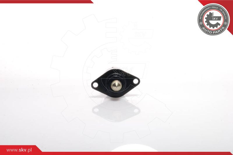 ESEN SKV Leerlaufregelventil, Luftversorgung