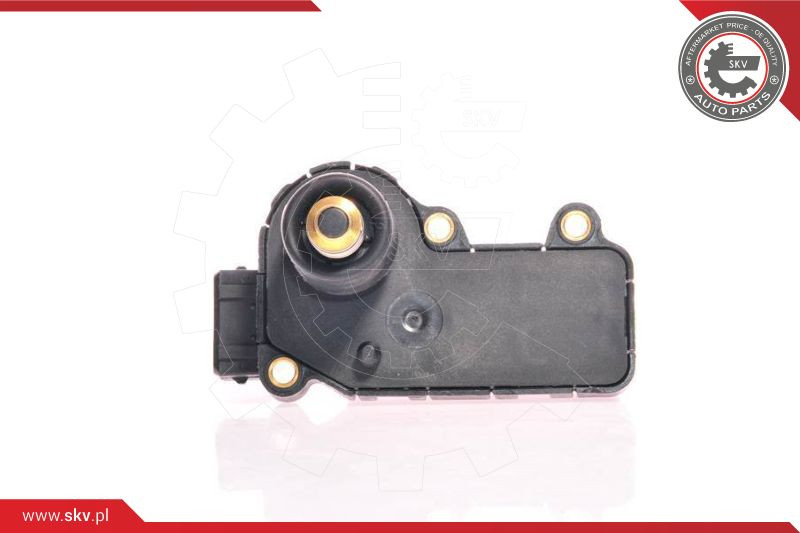 ESEN SKV Leerlaufregelventil, Luftversorgung