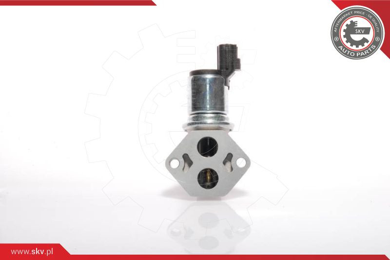 ESEN SKV Leerlaufregelventil, Luftversorgung