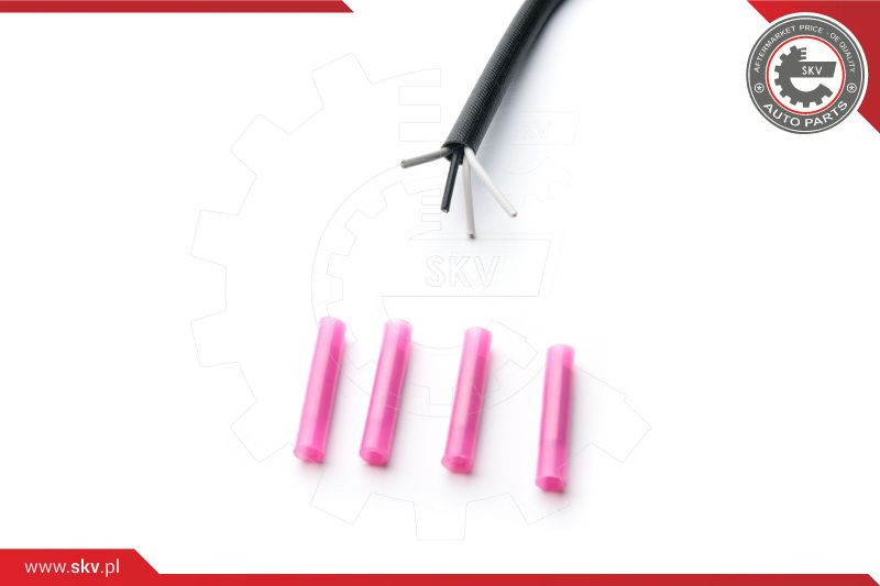 ESEN SKV Lambdasonde