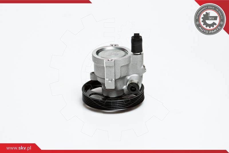 ESEN SKV Hydraulikpumpe, Lenkung