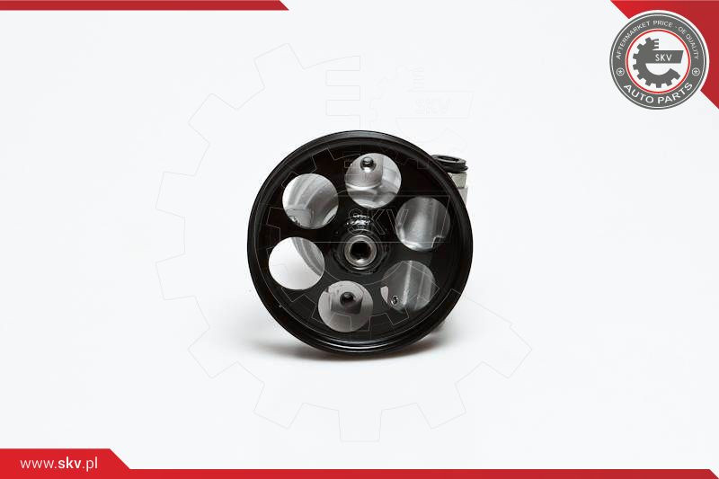 ESEN SKV Hydraulikpumpe, Lenkung
