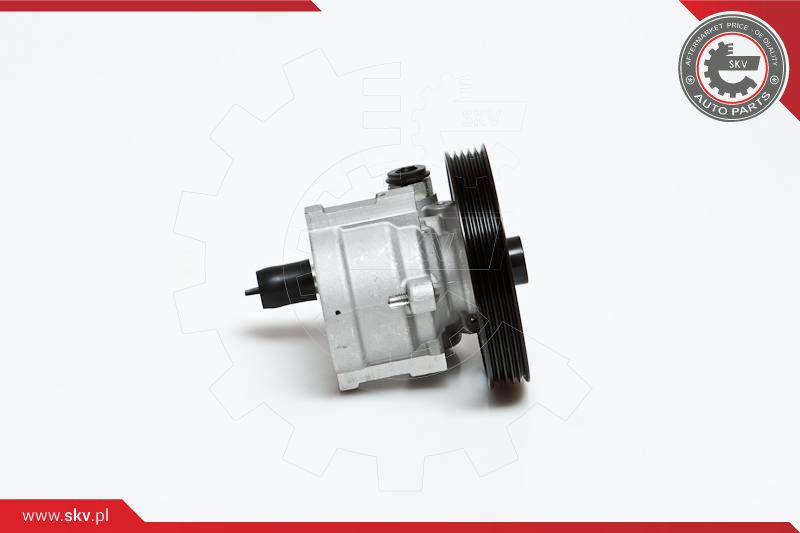 ESEN SKV Hydraulikpumpe, Lenkung