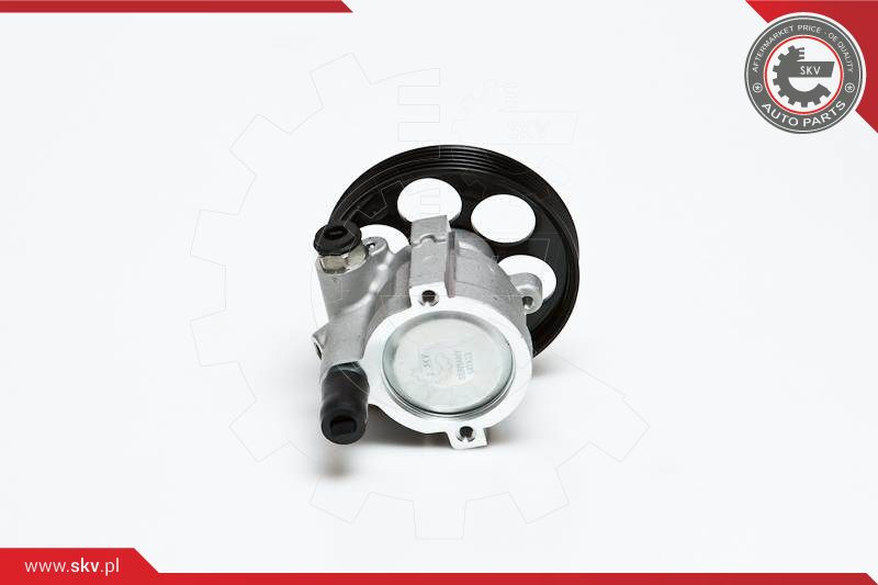 ESEN SKV Hydraulikpumpe, Lenkung
