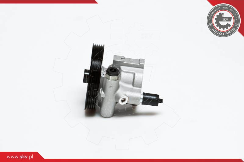 ESEN SKV Hydraulikpumpe, Lenkung