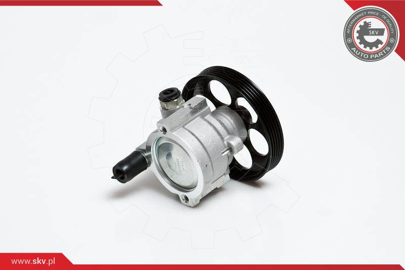 ESEN SKV Hydraulikpumpe, Lenkung