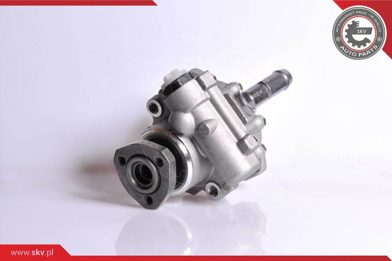 ESEN SKV Hydraulikpumpe, Lenkung