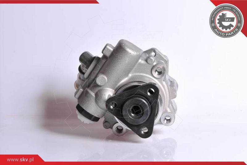 ESEN SKV Hydraulikpumpe, Lenkung