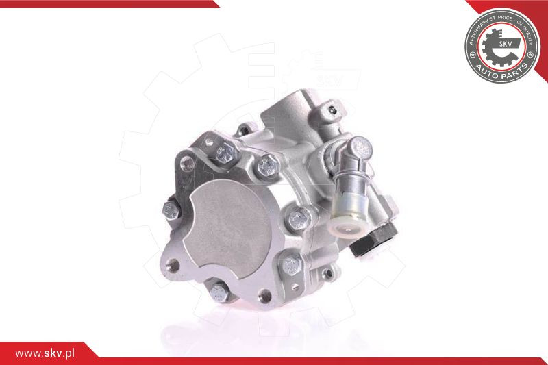 ESEN SKV Hydraulikpumpe, Lenkung