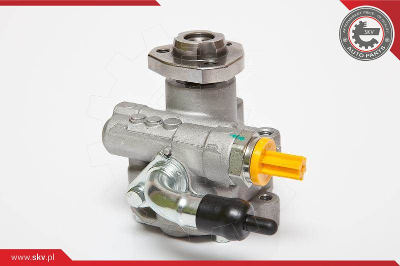 ESEN SKV Hydraulikpumpe, Lenkung