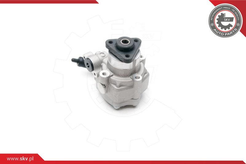 ESEN SKV Hydraulikpumpe, Lenkung