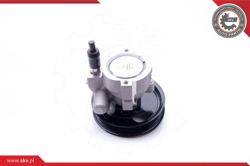 ESEN SKV Hydraulikpumpe, Lenkung