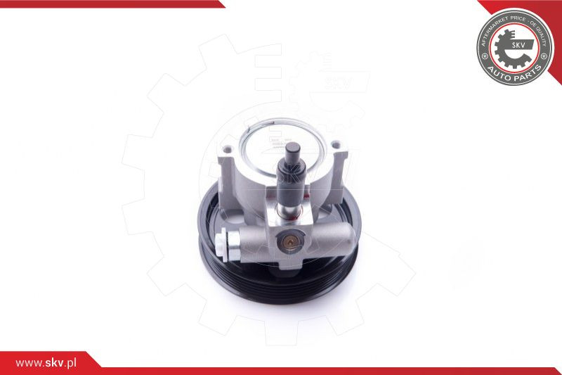 ESEN SKV Hydraulikpumpe, Lenkung