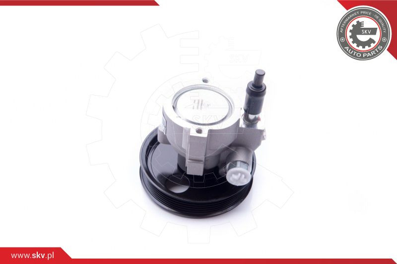 ESEN SKV Hydraulikpumpe, Lenkung