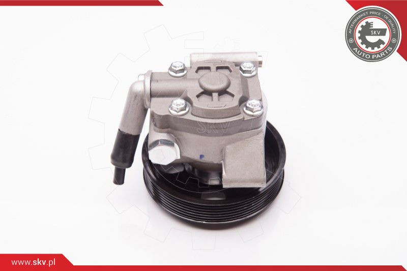 ESEN SKV Hydraulikpumpe, Lenkung