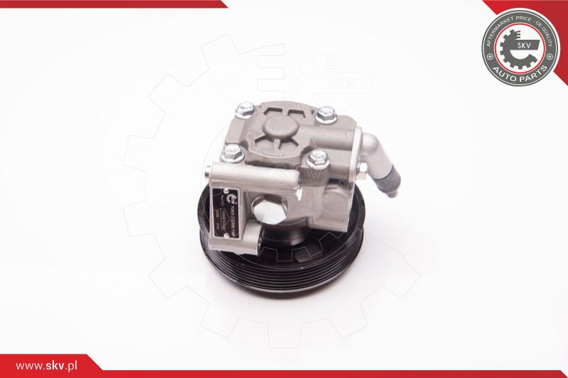 ESEN SKV Hydraulikpumpe, Lenkung