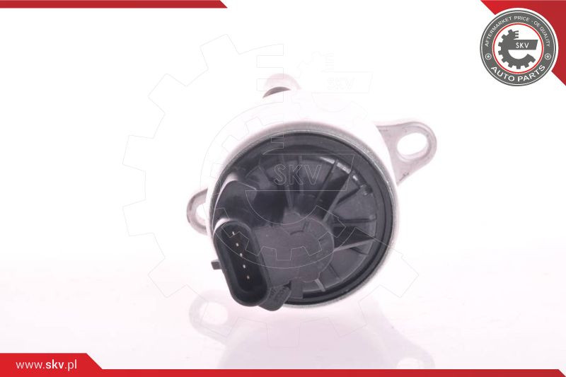 ESEN SKV AGR-Ventil