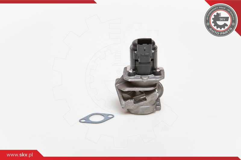 ESEN SKV AGR-Ventil