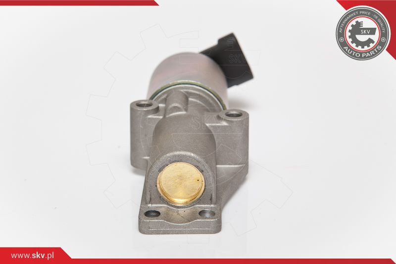 ESEN SKV AGR-Ventil