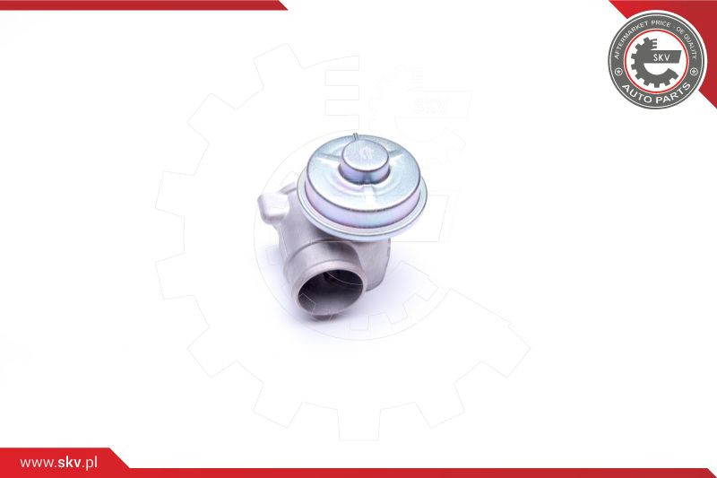 ESEN SKV AGR-Ventil