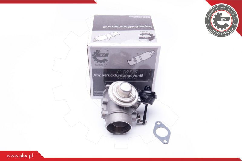ESEN SKV AGR-Ventil
