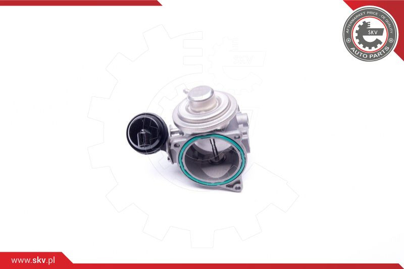 ESEN SKV AGR-Ventil
