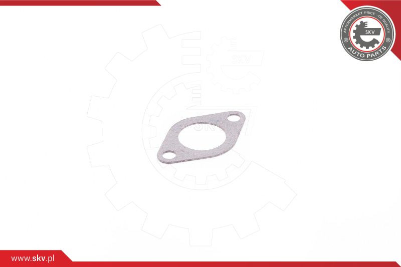 ESEN SKV Dichtung, AGR-Ventil