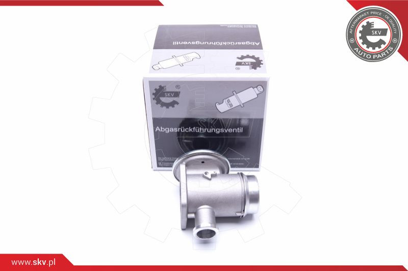 ESEN SKV AGR-Ventil