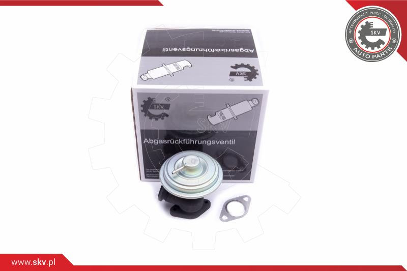 ESEN SKV AGR-Ventil