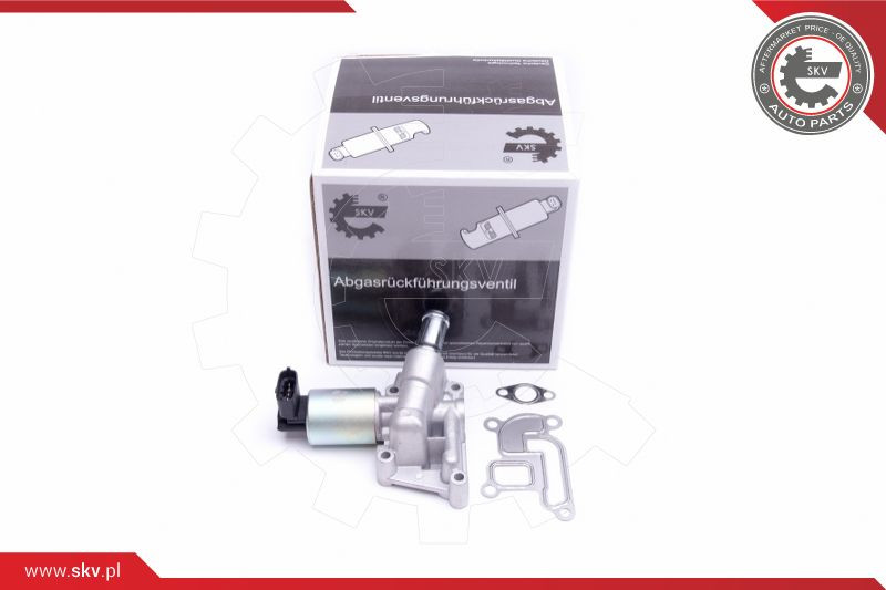 ESEN SKV AGR-Ventil