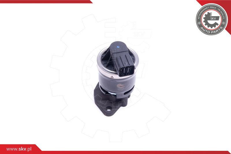 ESEN SKV AGR-Ventil