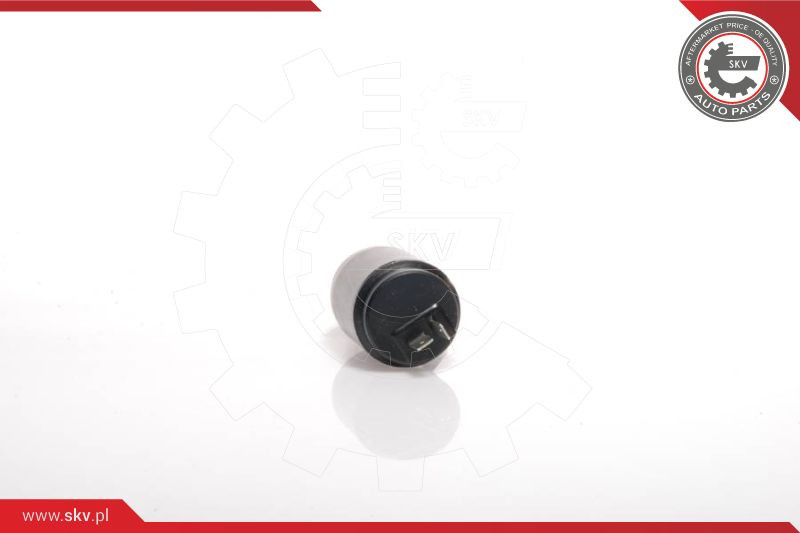 ESEN SKV Waschwasserpumpe, Scheibenreinigung