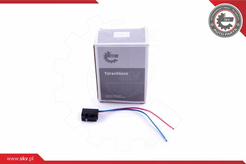 ESEN SKV Schalter, Türschloss