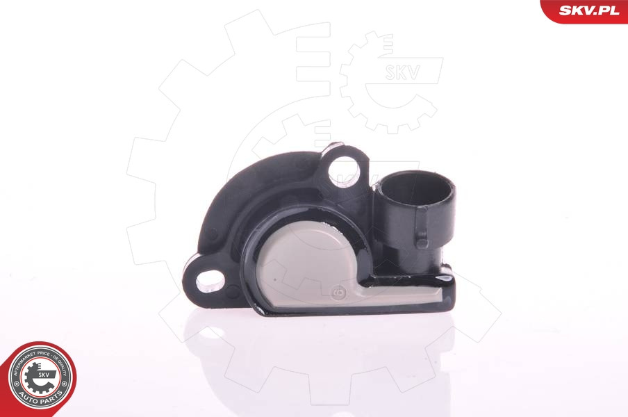 ESEN SKV Sensor, Drosselklappenstellung