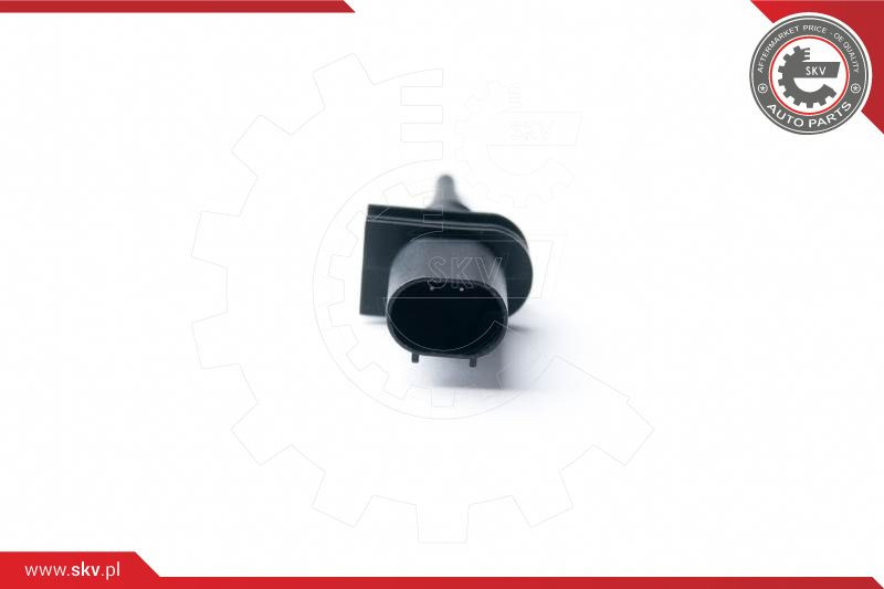 ESEN SKV Sensor, Außentemperatur