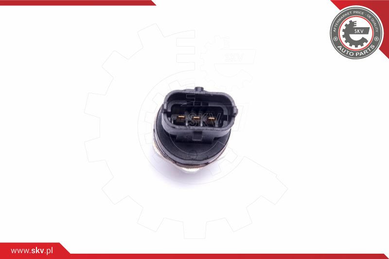 ESEN SKV Sensor, Kraftstoffdruck