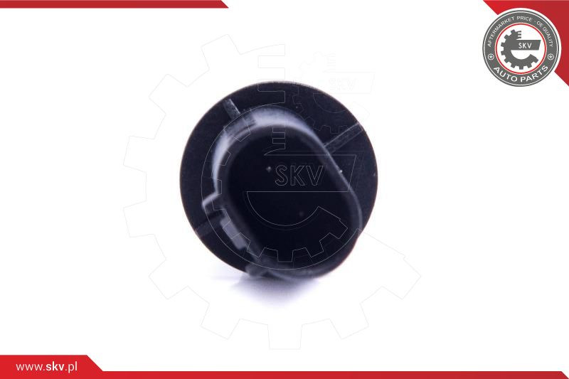 ESEN SKV Sensor, Außentemperatur