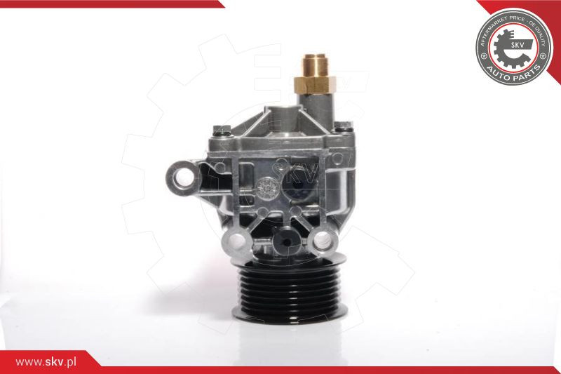 ESEN SKV Unterdruckpumpe, Bremsanlage