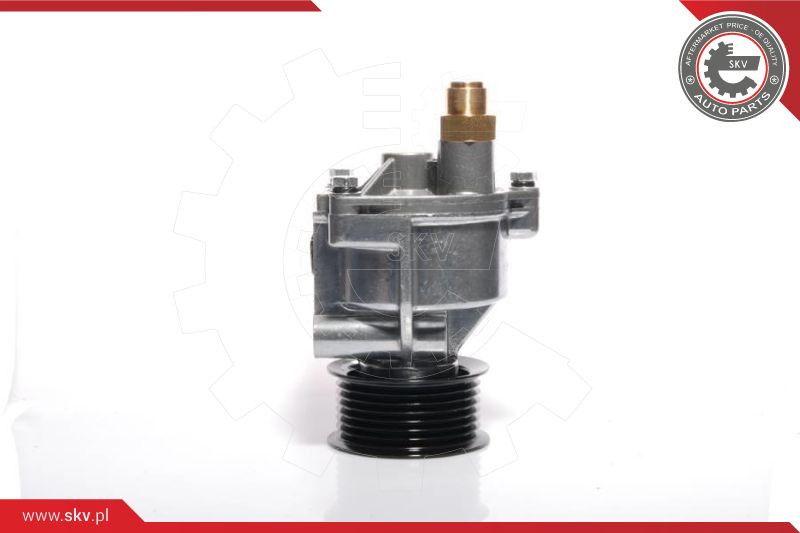 ESEN SKV Unterdruckpumpe, Bremsanlage