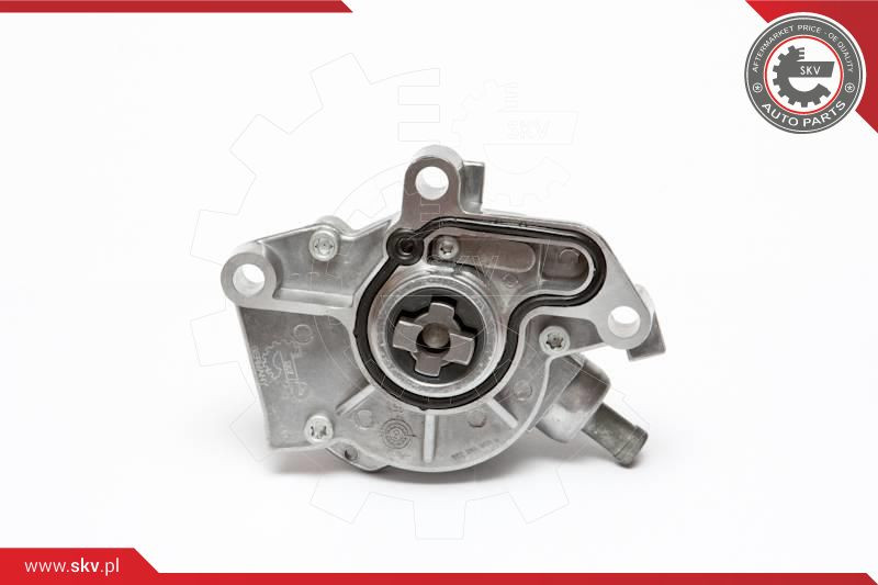 ESEN SKV Unterdruckpumpe, Bremsanlage